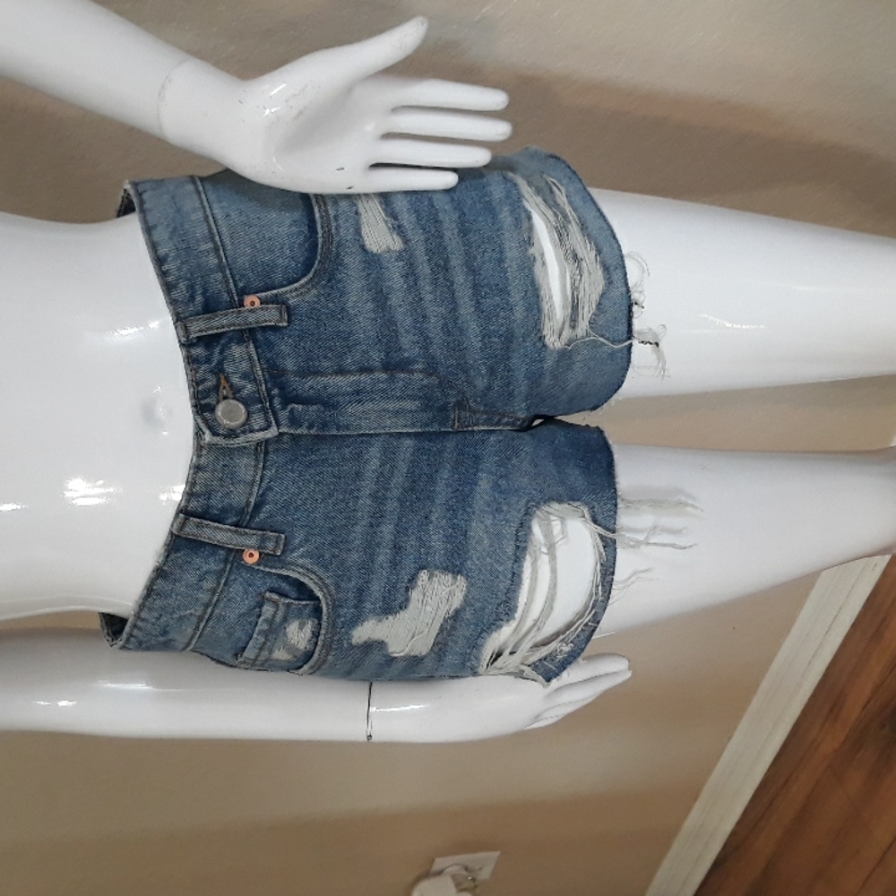 Blanknyc Vintage high rise The Barrow Shorts